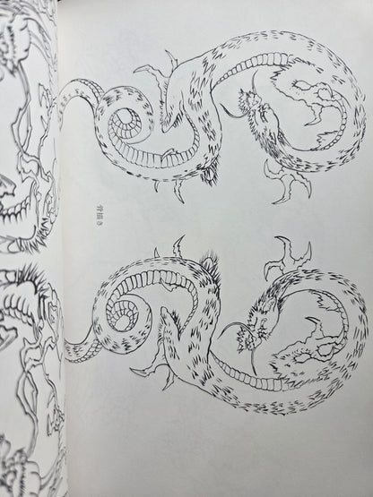 Drawing a Dragon: From Sketches To Works by Tansai Terano (1999)