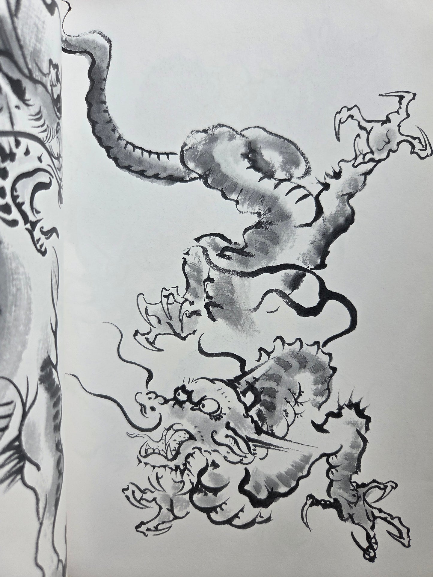 Drawing a Dragon: From Sketches To Works by Tansai Terano (1999)
