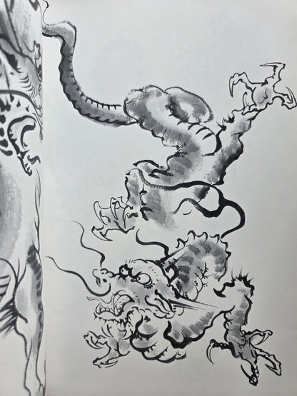 Drawing a Dragon: From Sketches To Works by Tansai Terano (1999)