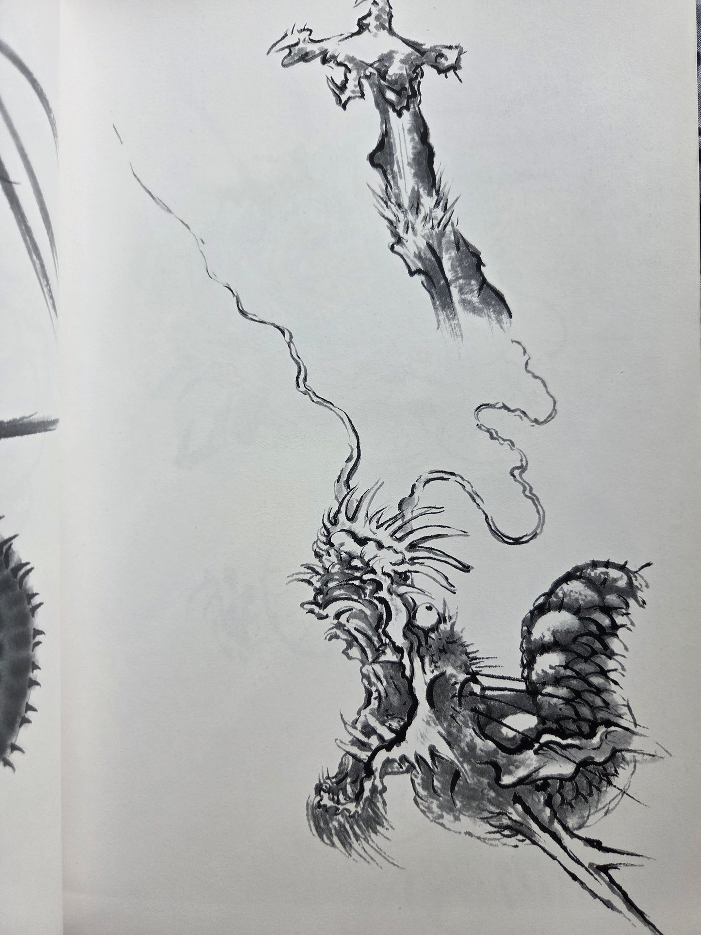 Drawing a Dragon: From Sketches To Works by Tansai Terano (1999)
