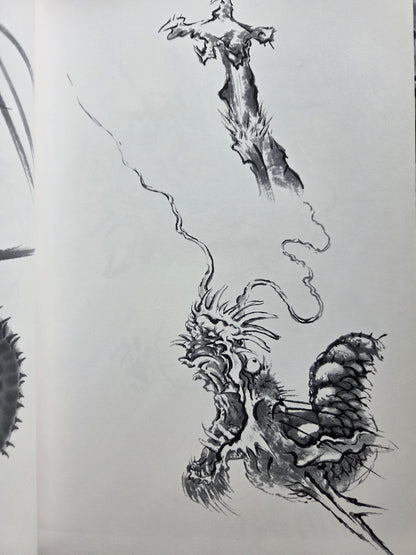 Drawing a Dragon: From Sketches To Works by Tansai Terano (1999)