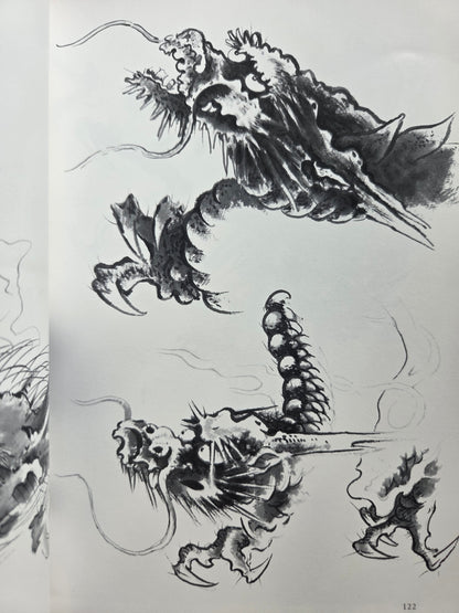 Drawing a Dragon: From Sketches To Works by Tansai Terano (1999)