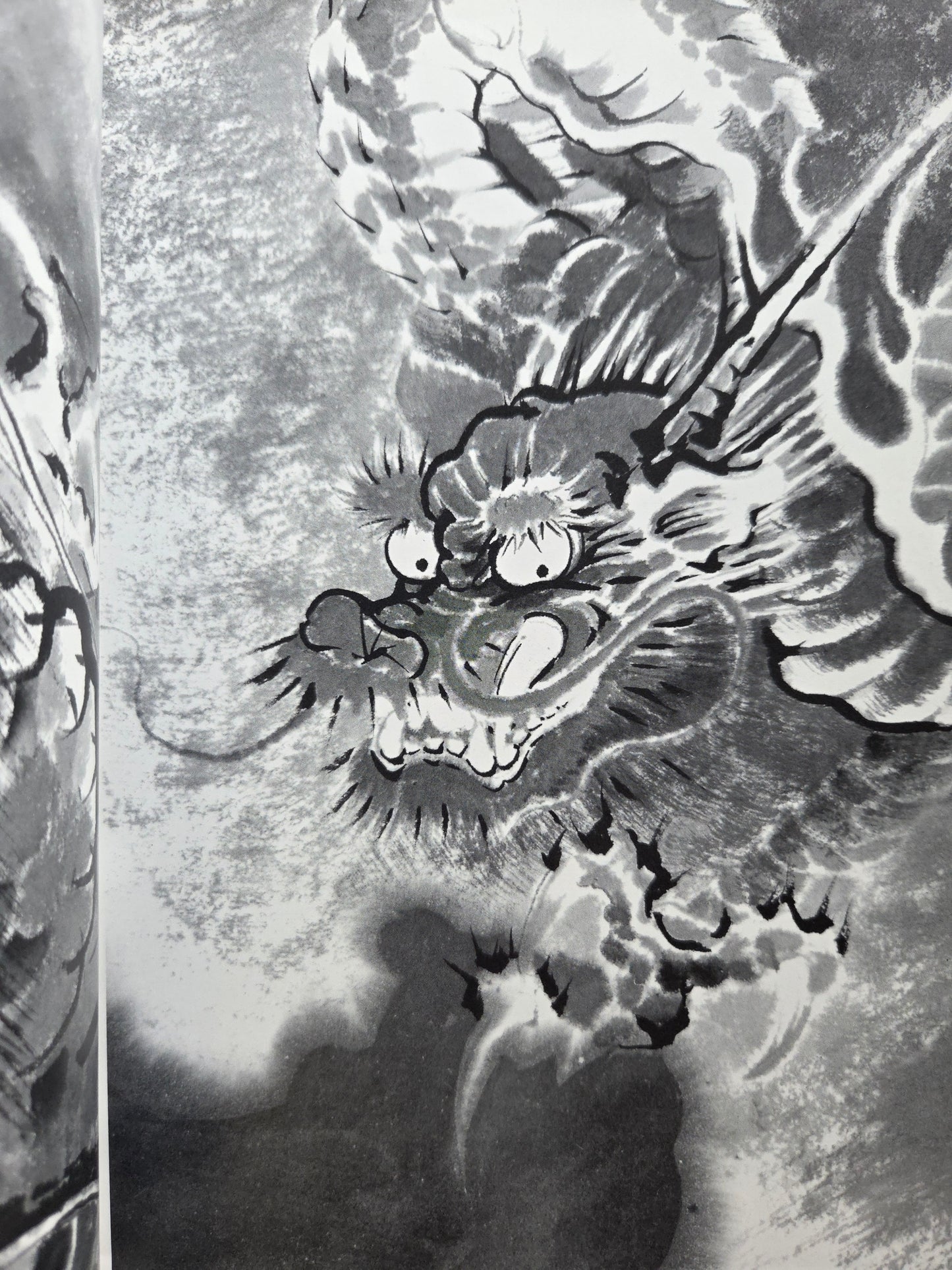 Drawing a Dragon: From Sketches To Works by Tansai Terano (1999)