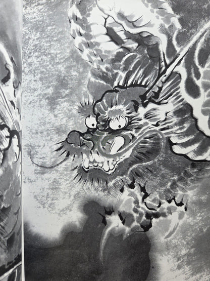 Drawing a Dragon: From Sketches To Works by Tansai Terano (1999)