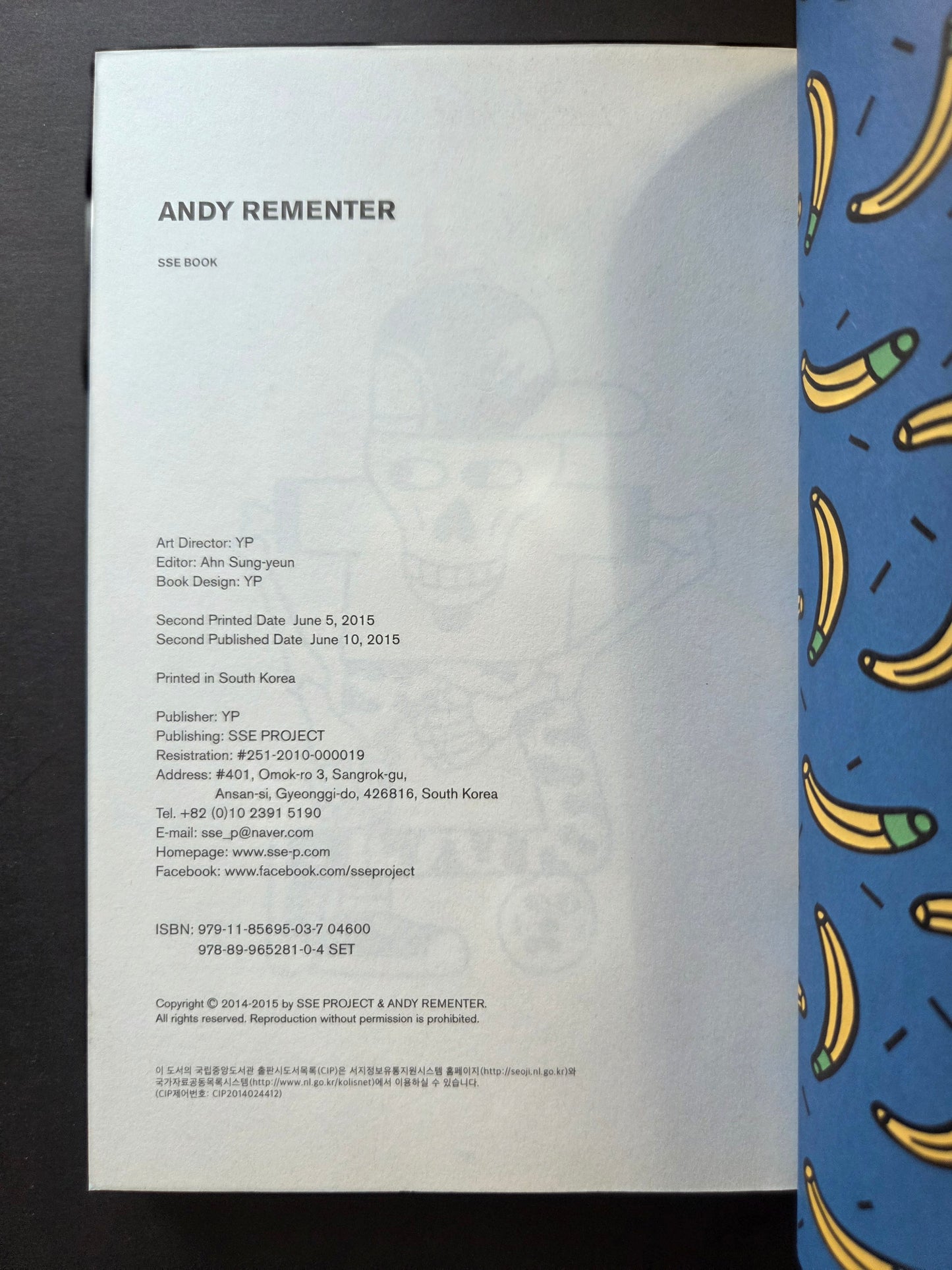 SSE Book - Andy Rementer (2015)