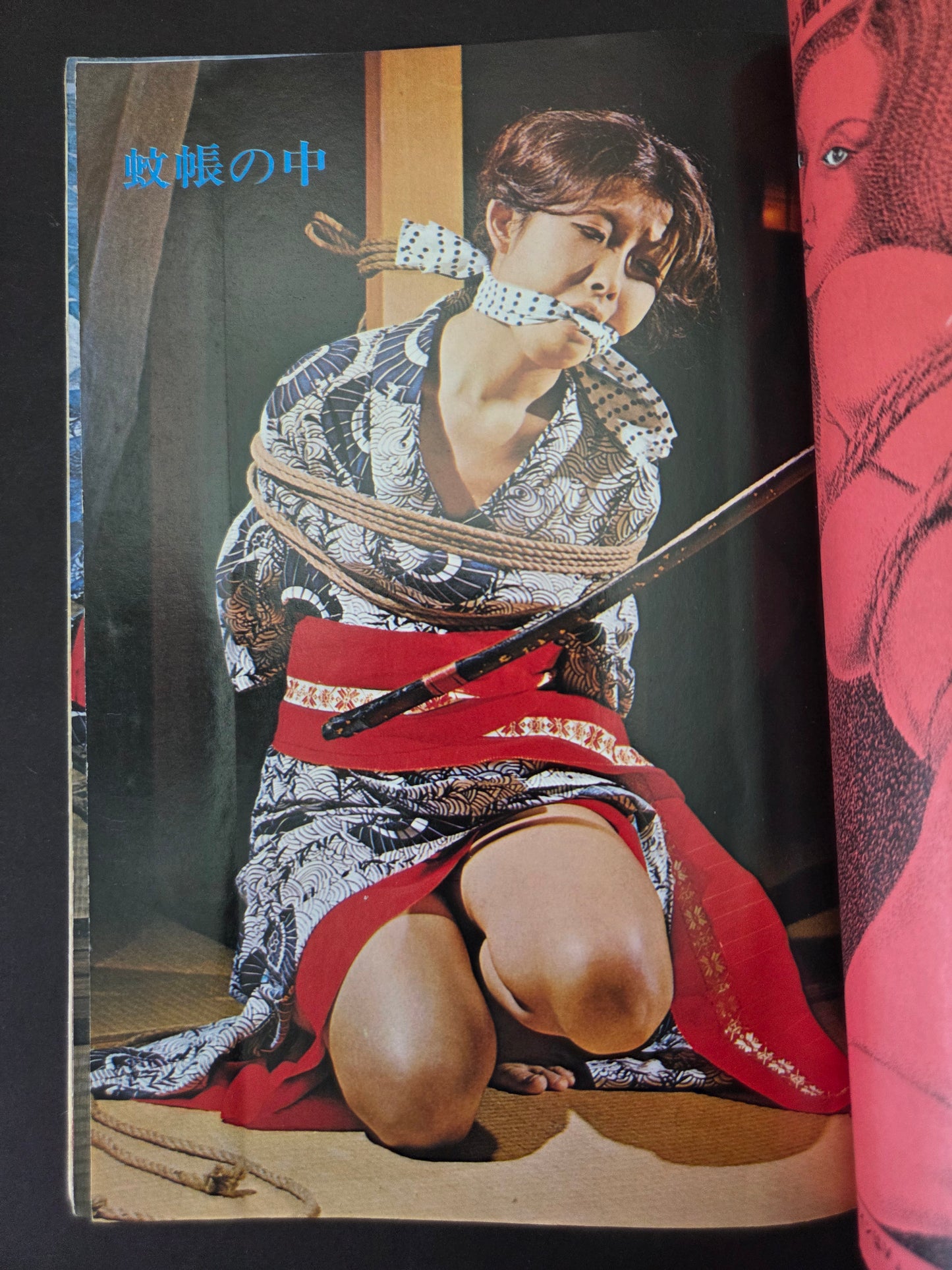 SM Collector - July 1973