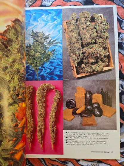 Burst Magazine - Volume 34 - September 2000