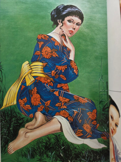 Witch Enchantress: The Illustrated World of Mieko Kawasaki (1979)