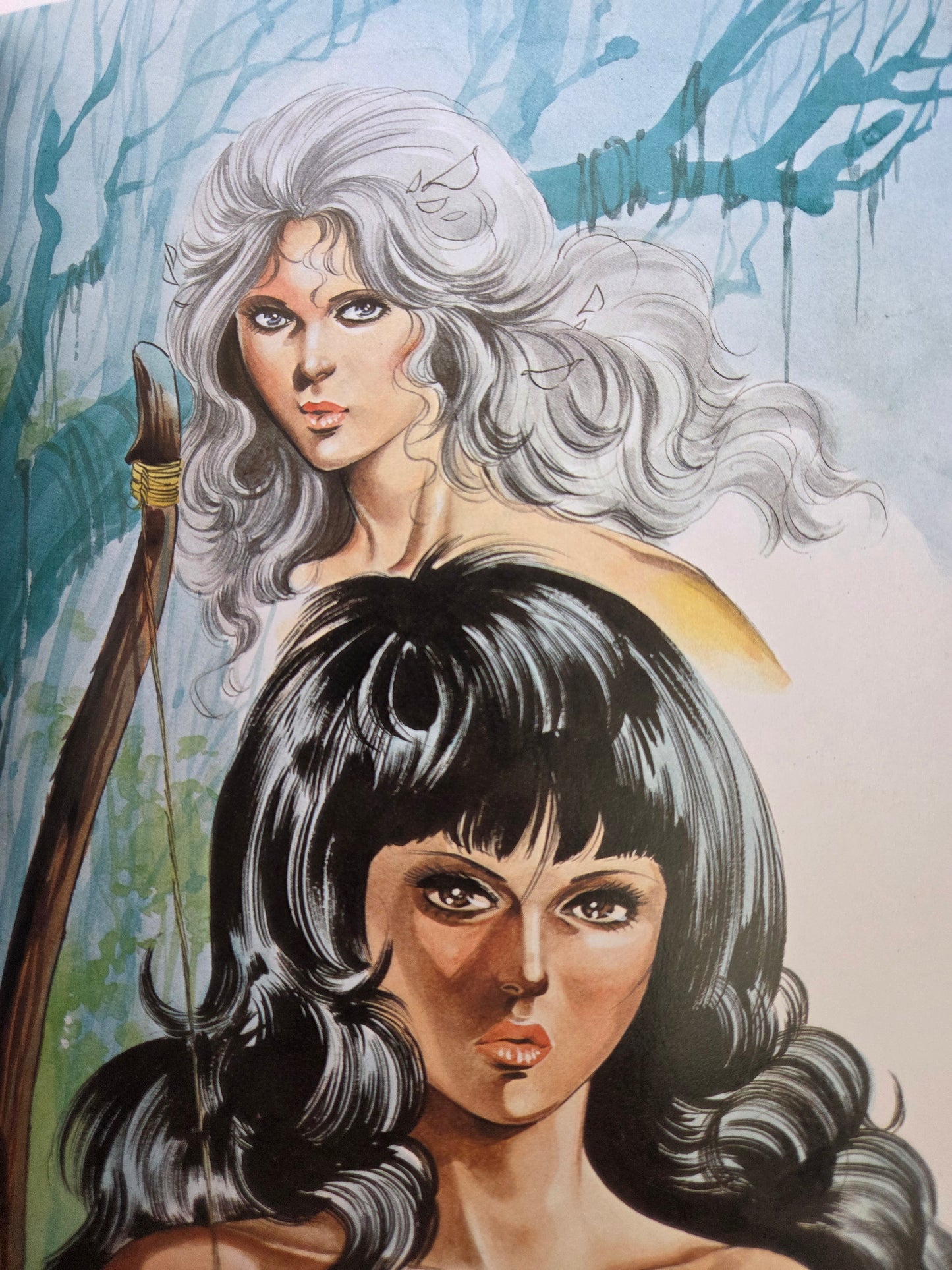Witch Enchantress: The Illustrated World of Mieko Kawasaki (1979)