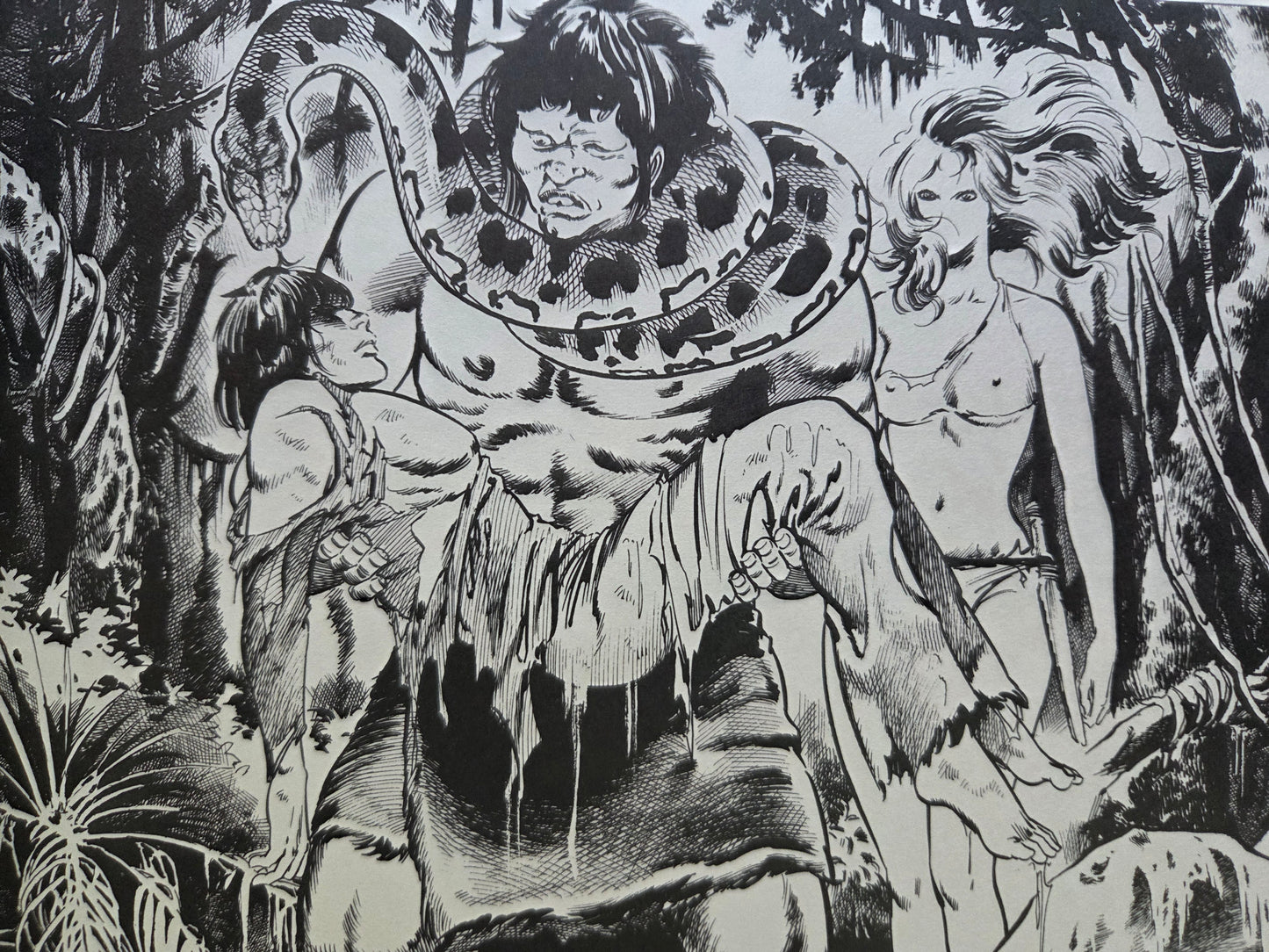 Witch Enchantress: The Illustrated World of Mieko Kawasaki (1979)