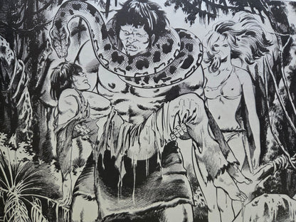 Witch Enchantress: The Illustrated World of Mieko Kawasaki (1979)
