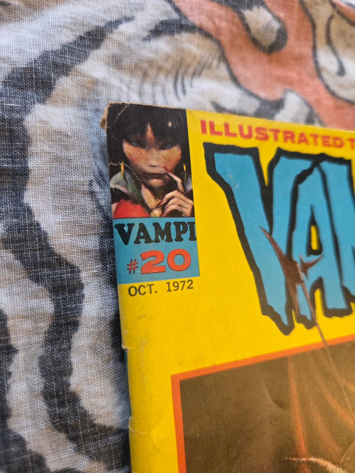 Vampirella Monthly #20 - Warren Magazine (1972)