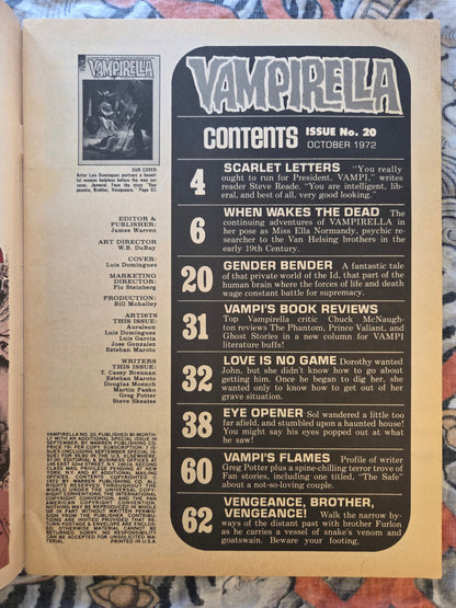 Vampirella Monthly #20 - Warren Magazine (1972)