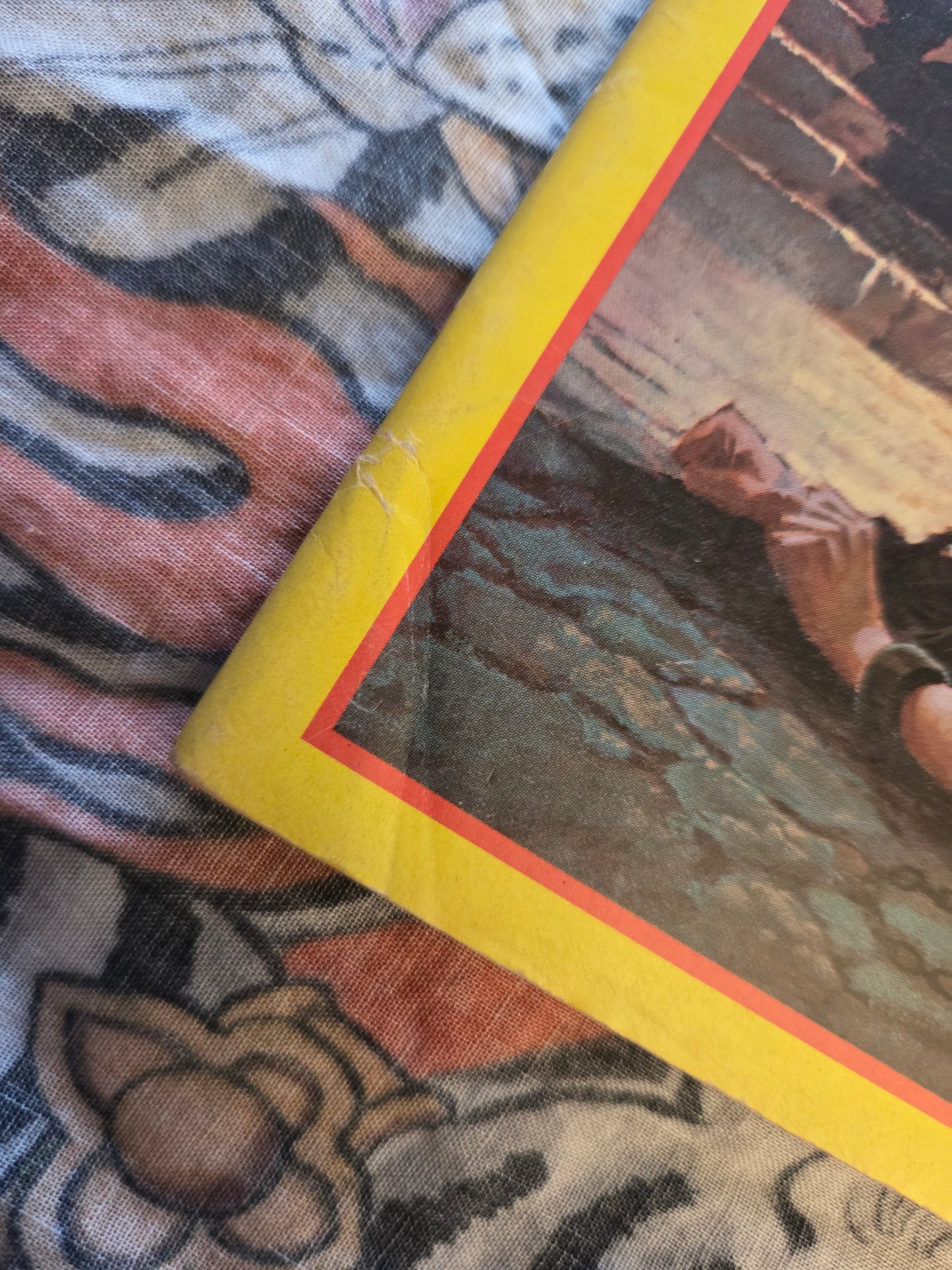 Vampirella Monthly #20 - Warren Magazine (1972)