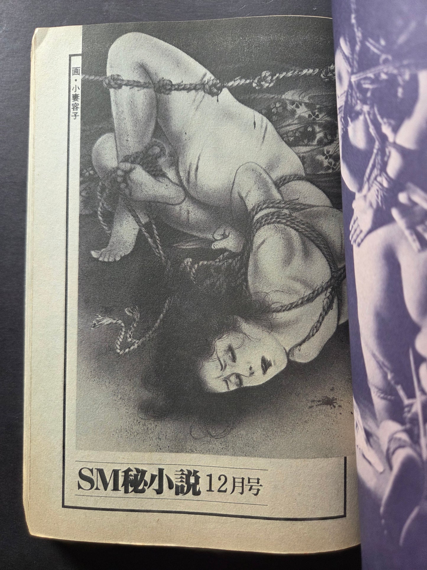 SM Secret Stories - December 1987