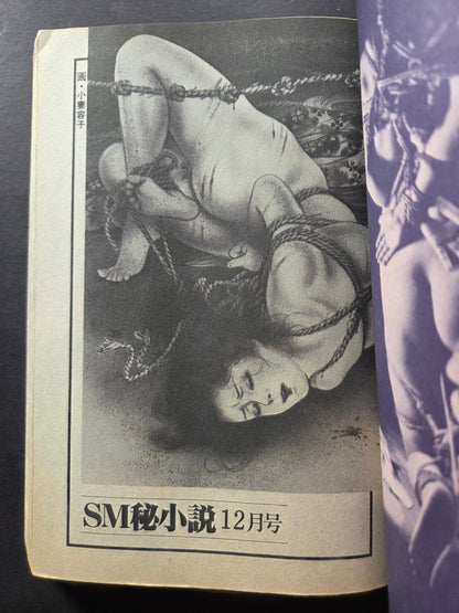SM Secret Stories - December 1987
