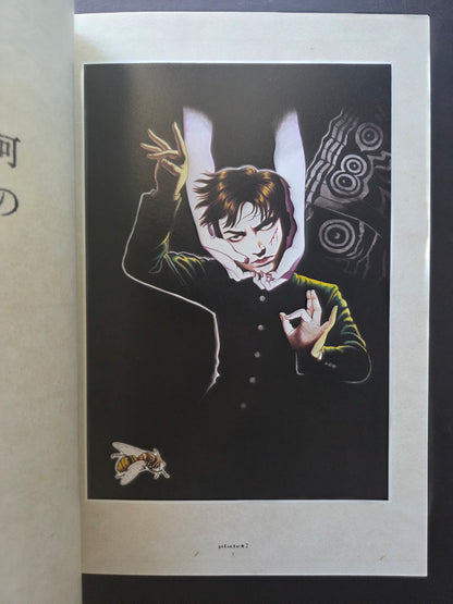 Maruo Graph DX II by Suehiro Maruo (2013)