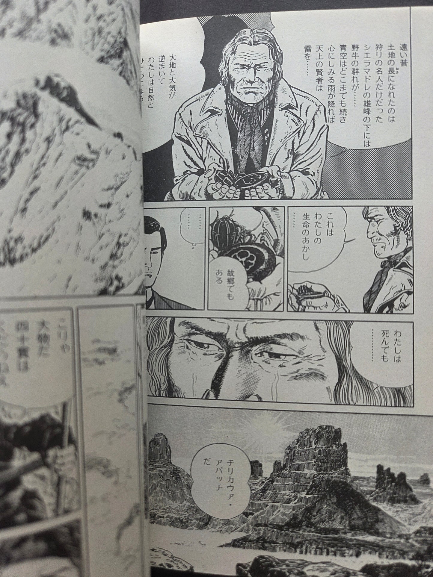 Into the Forest - Jiro Taniguchi (1994)