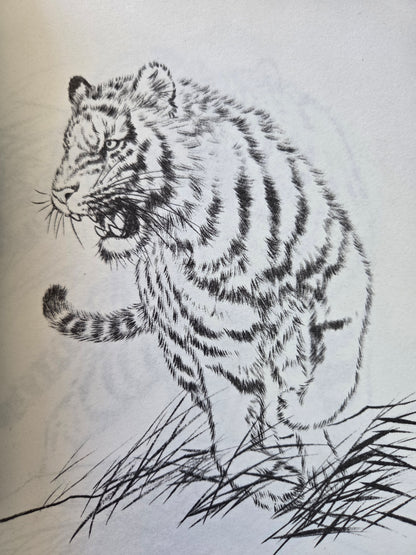 One Hundred Tigers - Chinese Drawing Study (2014)