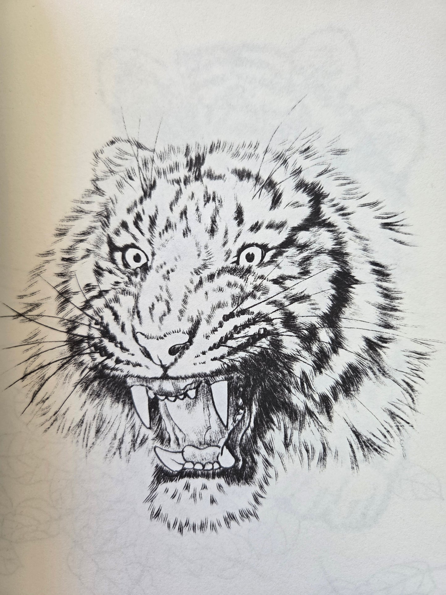 One Hundred Tigers - Chinese Drawing Study (2014)