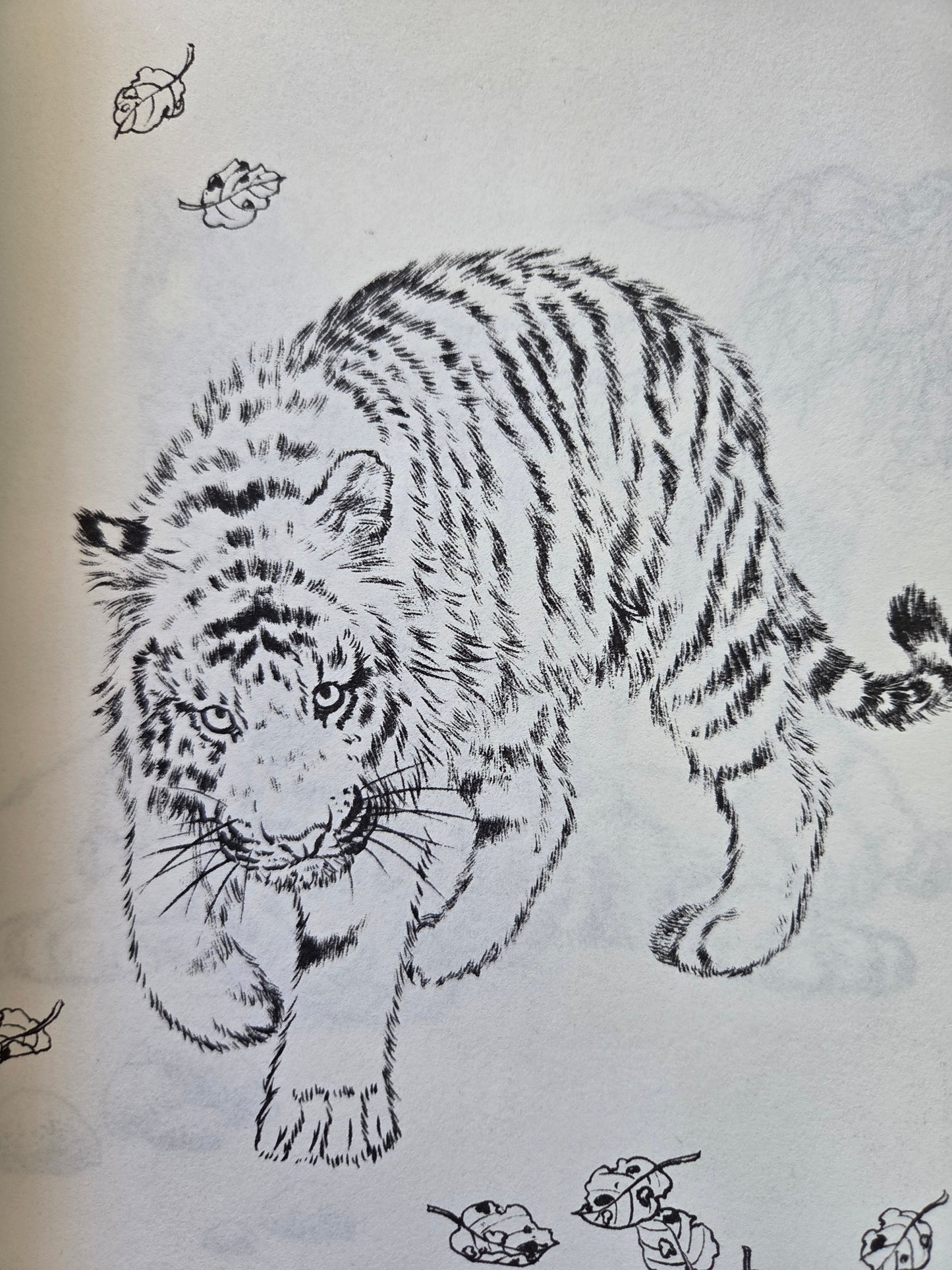 One Hundred Tigers - Chinese Drawing Study (2014)