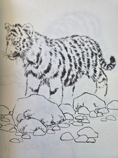 One Hundred Tigers - Chinese Drawing Study (2014)