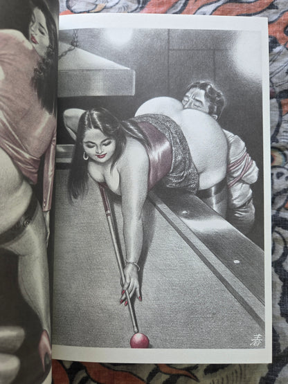 The Incredible Femdom Art of Namio Harukawa