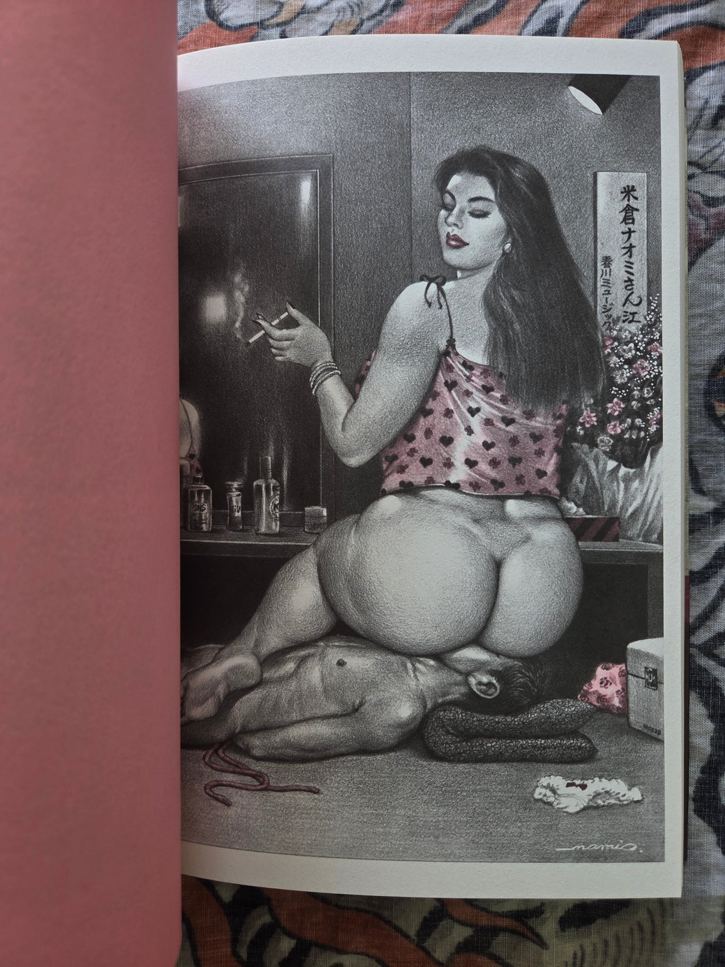 The Incredible Femdom Art of Namio Harukawa