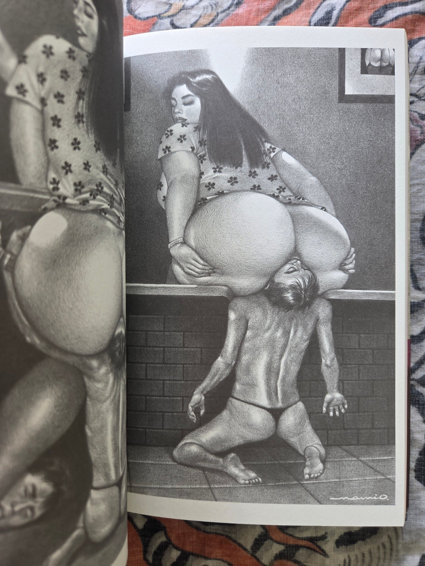 The Incredible Femdom Art of Namio Harukawa