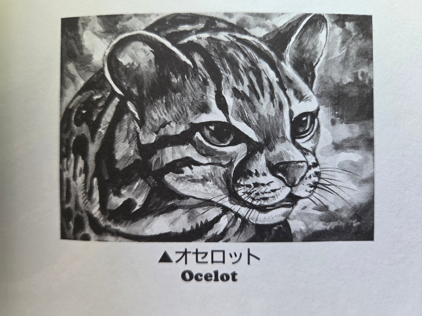 Gon / ゴン (1992)