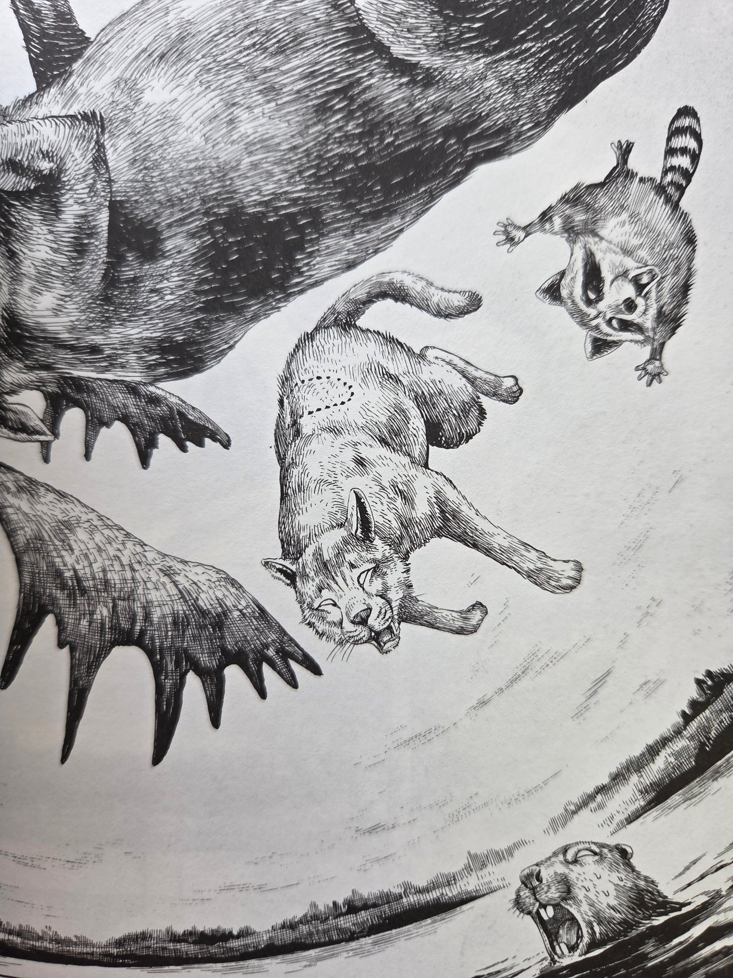 Gon / ゴン (1992)