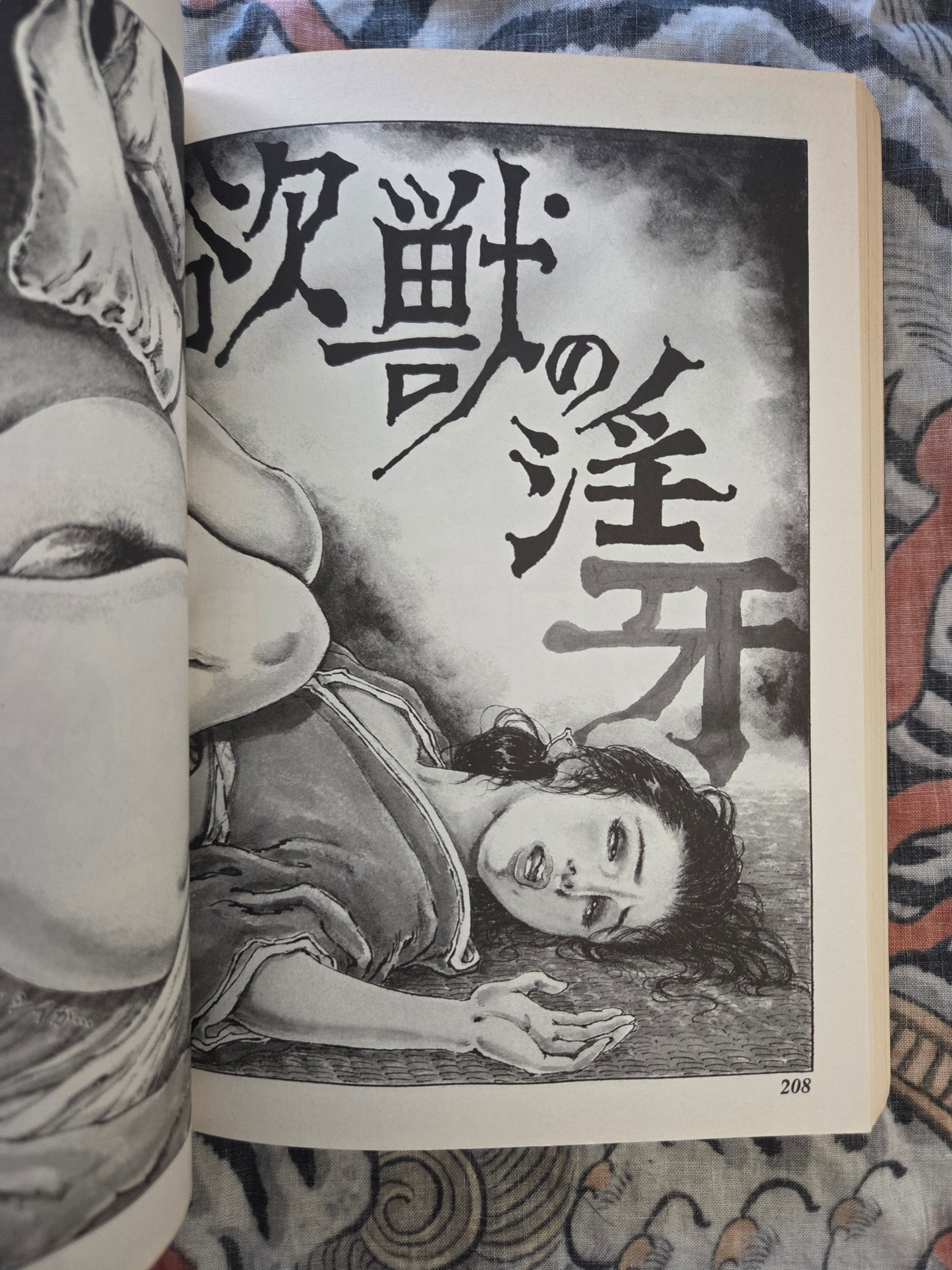 Red Drip of Indecent Lust - Shiro Kasama (2000)
