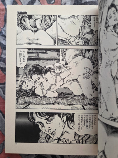 The Lady of Lewdness - Shiro Kasama's Third Collection of Works (1999)