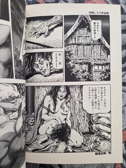 The Lady of Lewdness - Shiro Kasama's Third Collection of Works (1999)