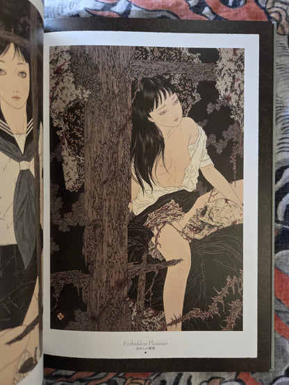 Divertimento For A Martyr by Takato Yamamoto SIGNED (2023)