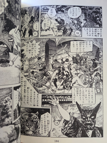 Byakko Kamen aka White Tiger Mask by Tomohiko Oka (2020)