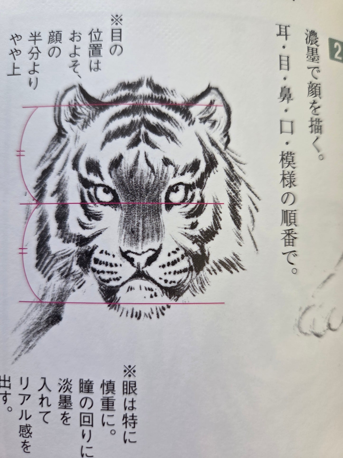 Drawing A Tiger (2009)