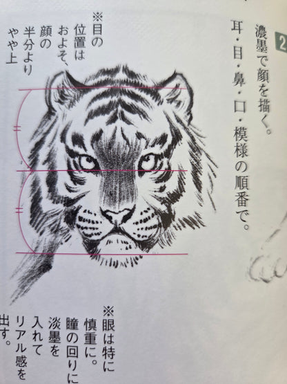 Drawing A Tiger (2009)