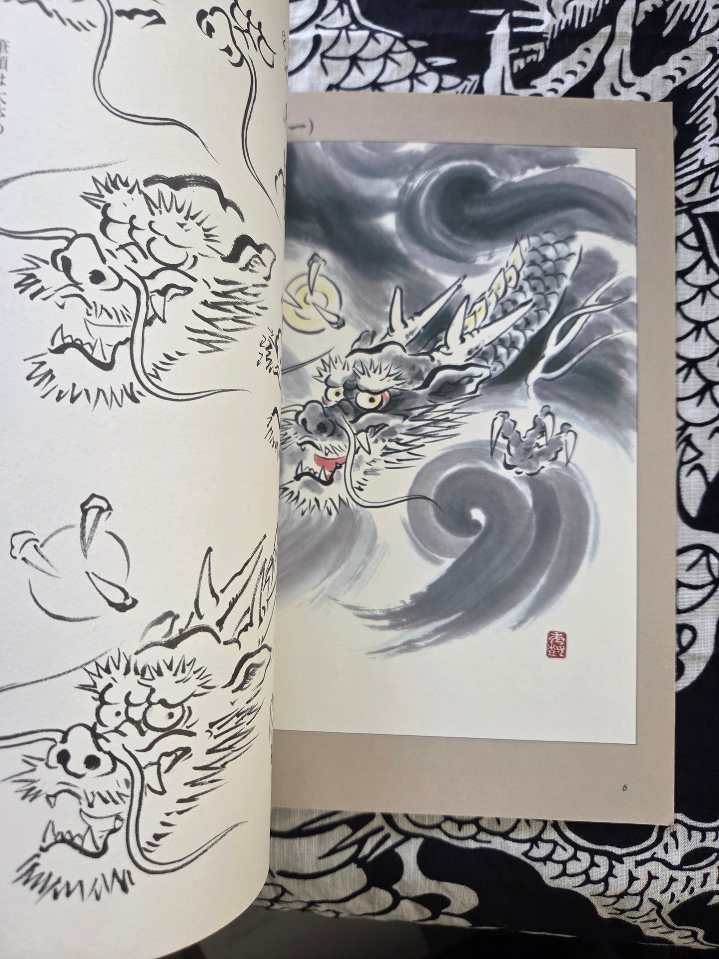 Drawing a Dragon - Yamashita Hideki (1999)