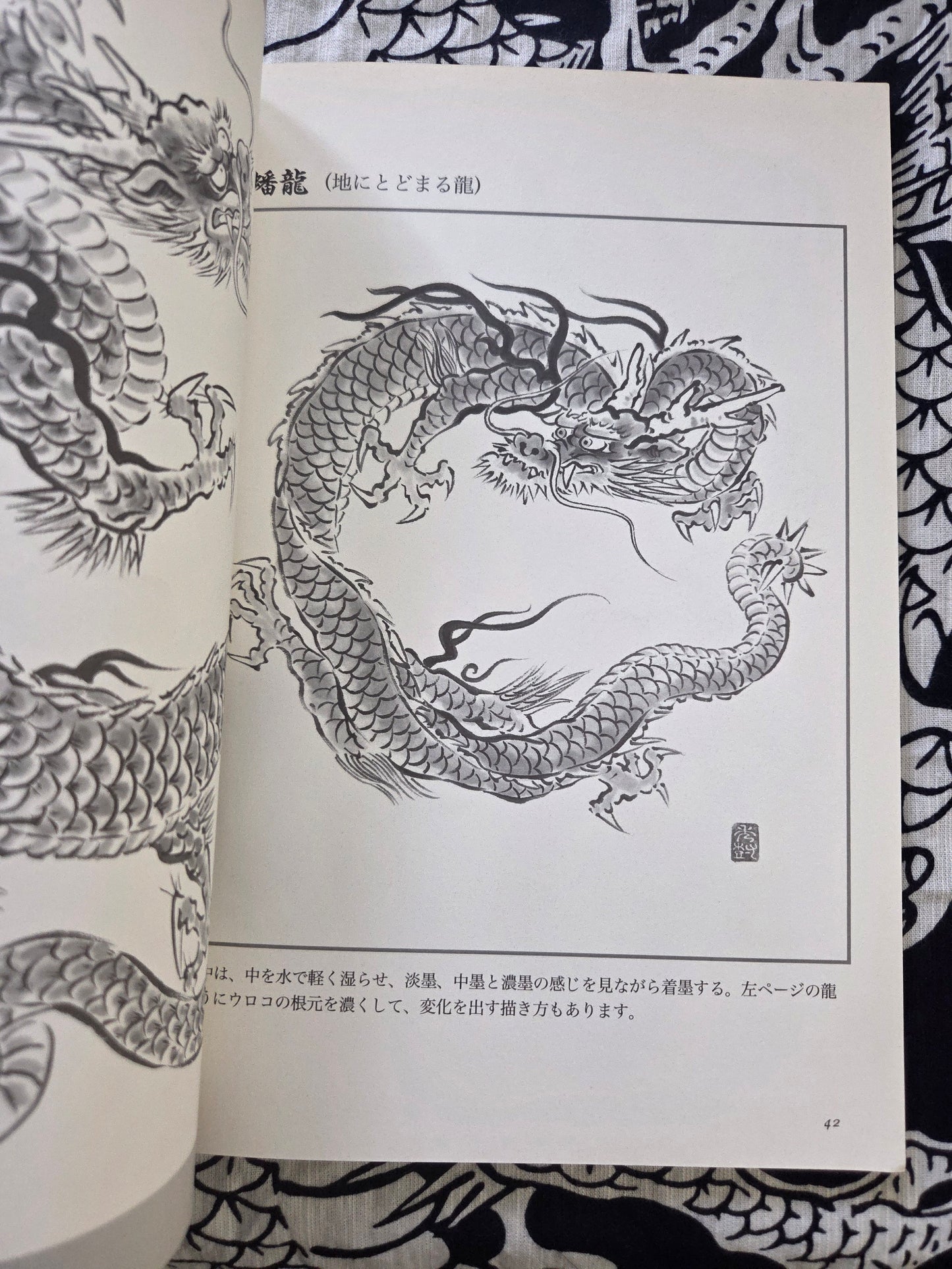Drawing a Dragon - Yamashita Hideki (1999)