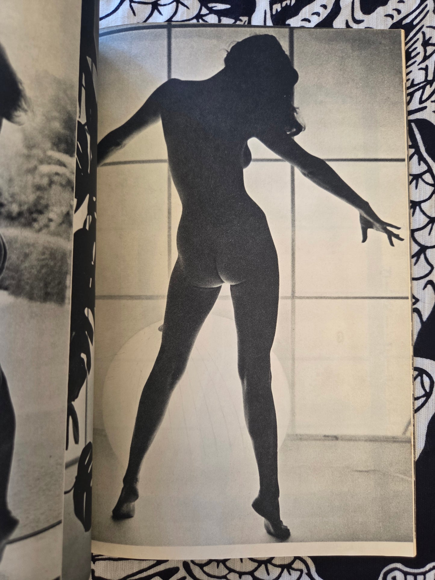 Manga True Story Special Edition (1954)