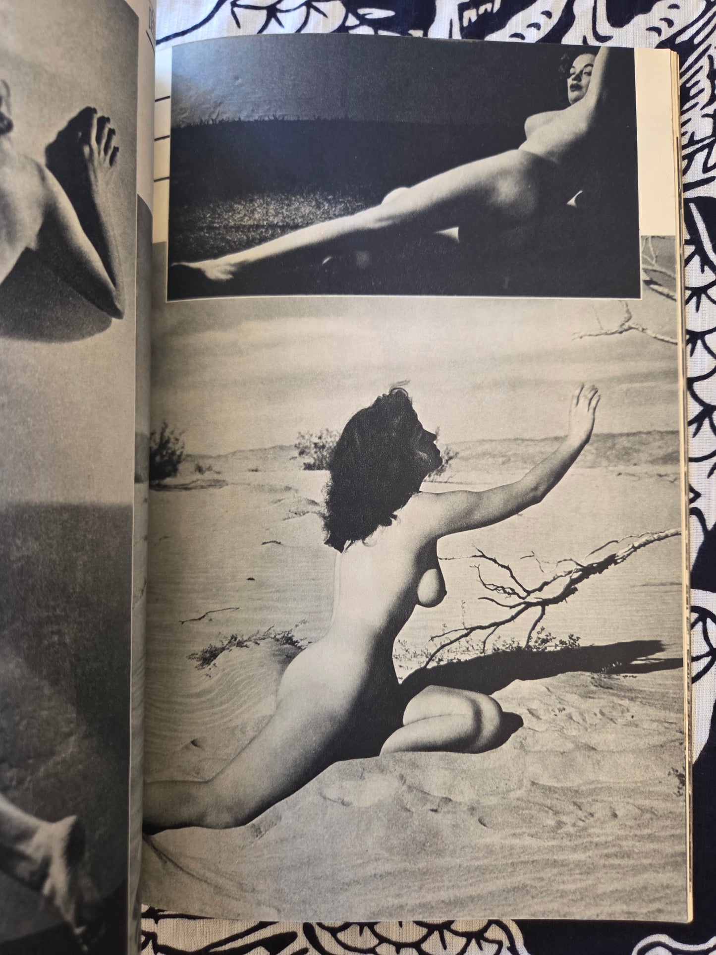 Manga True Story Special Edition (1954)