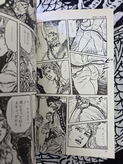 The Treasure Of Baragoodha - Shoji Oki (2000)