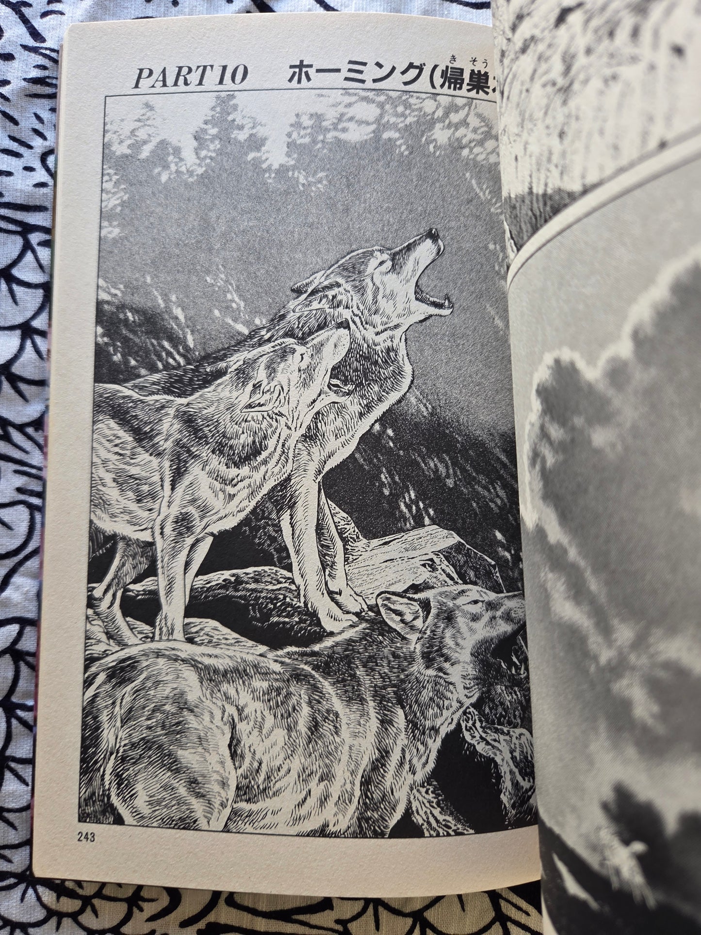 Blanca - Jiro Taniguchi (1985)