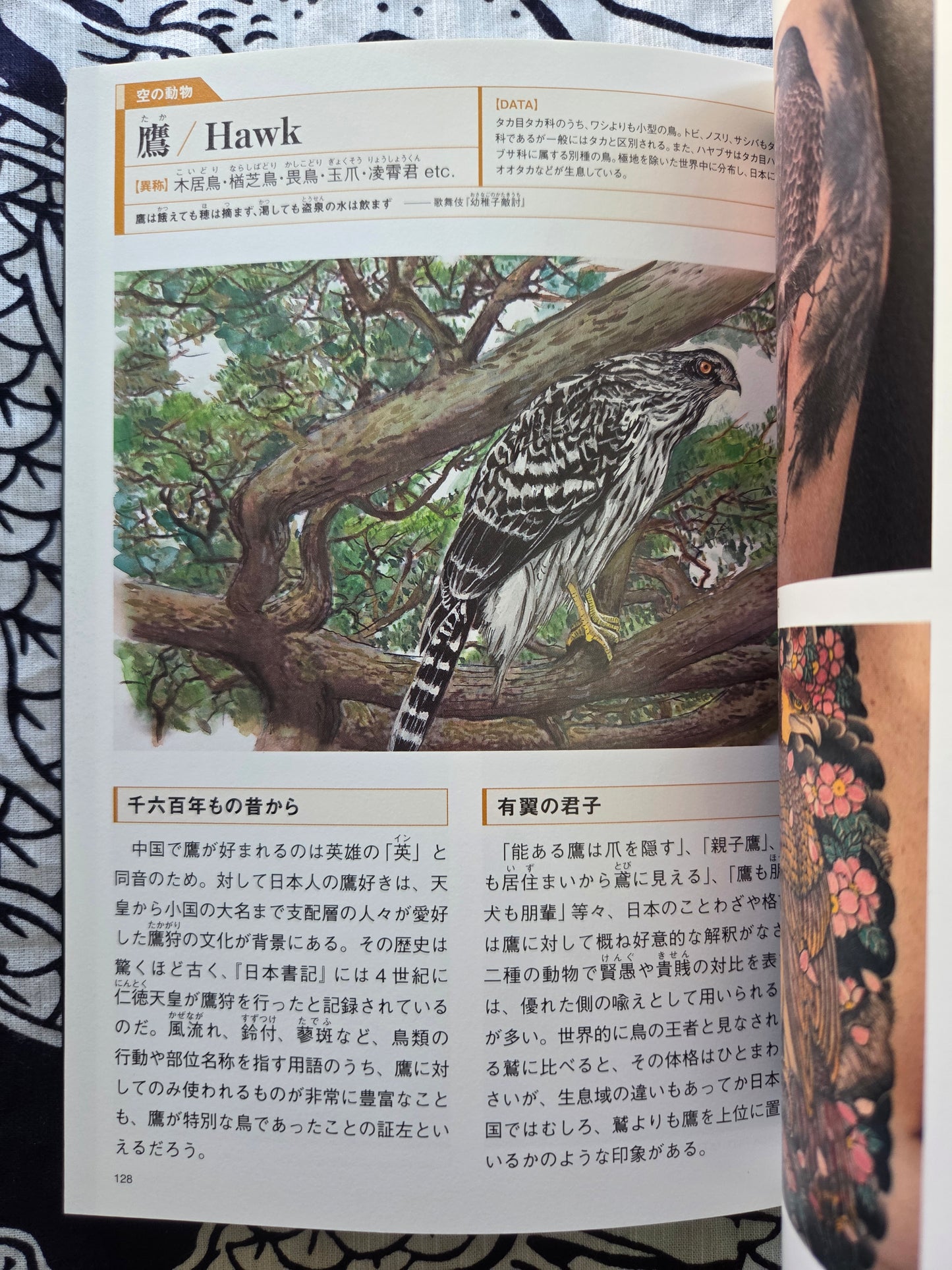 Tattoo Design Book Special - Land, Sea & Air Animals (2008)