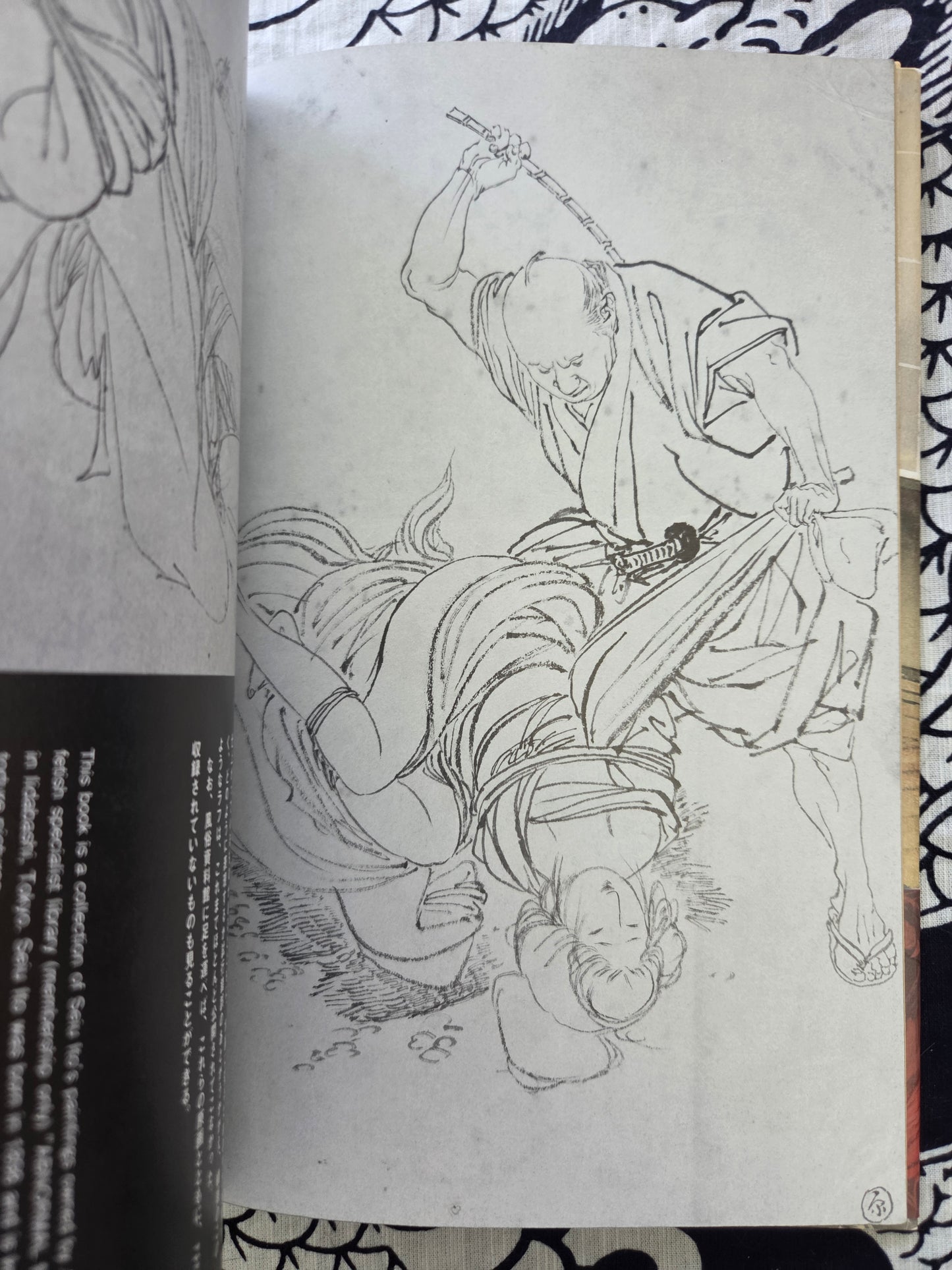 Seiu Ito's Treasured Blame Paintings & Drawings (2024)