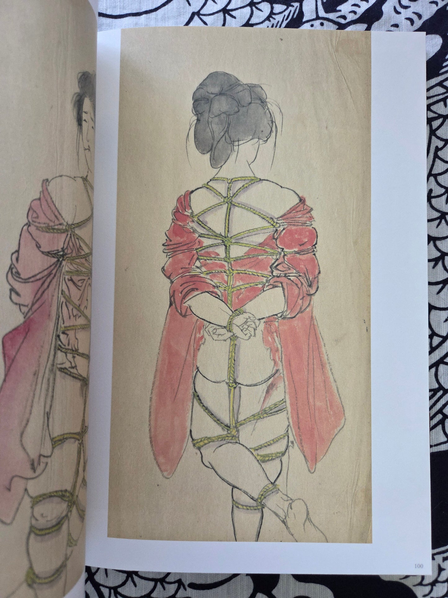 Seiu Ito's Treasured Blame Paintings & Drawings (2024)