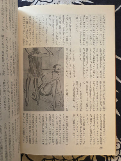 Heretic Literature - First Issue! (1972)