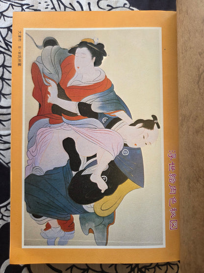 Secret Picture Book - SM Fan Special (1983)