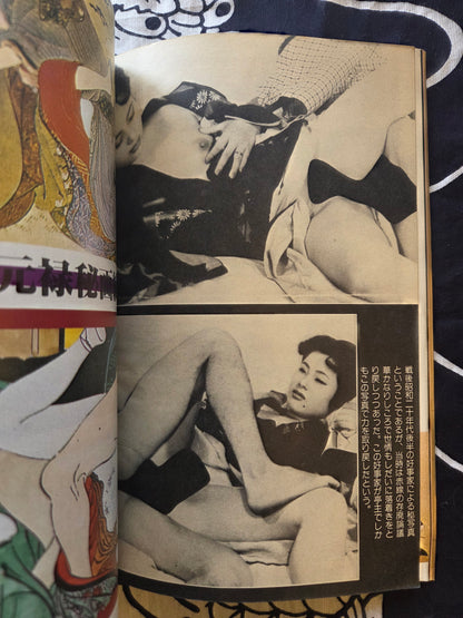 Secret Picture Book - SM Fan Special (1983)